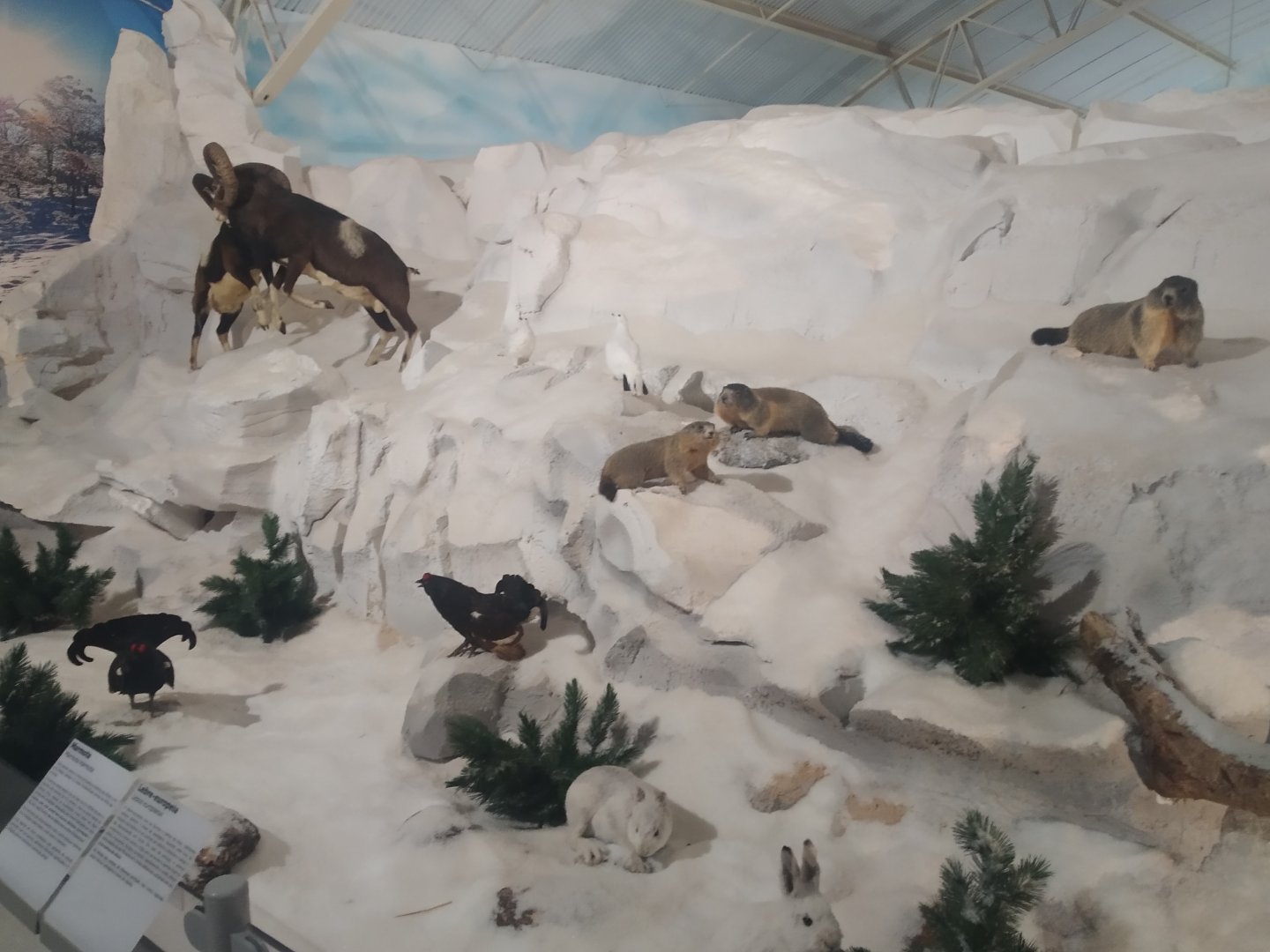 Natural Science Museum