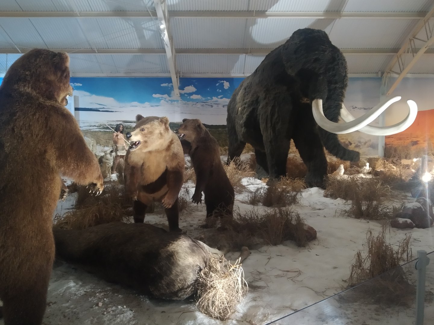 Natural Science Museum