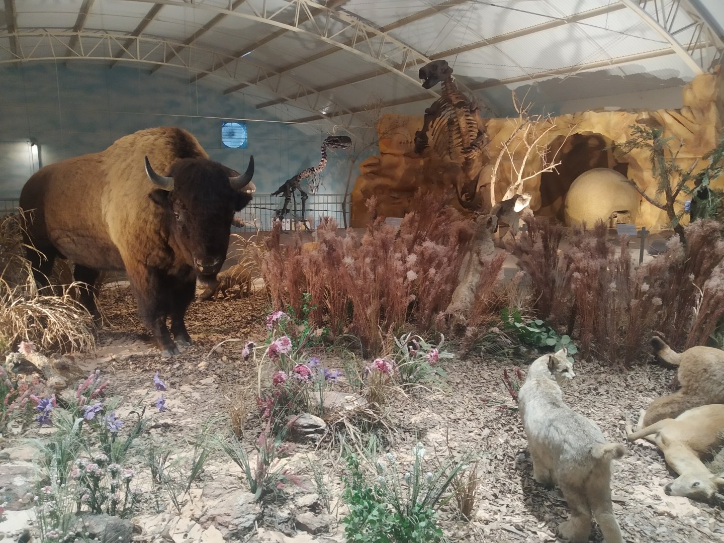 Natural Science Museum