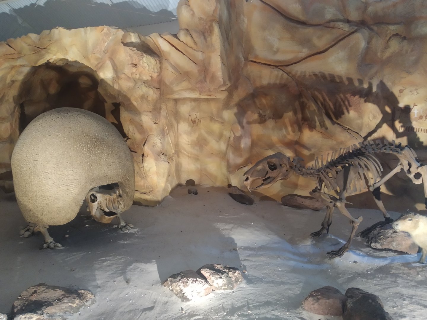 Natural Science Museum