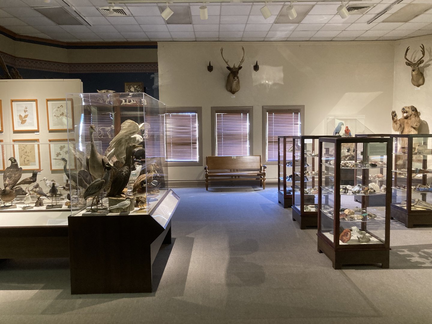 Natural Selections: Museum’s Victorian Past to the Present