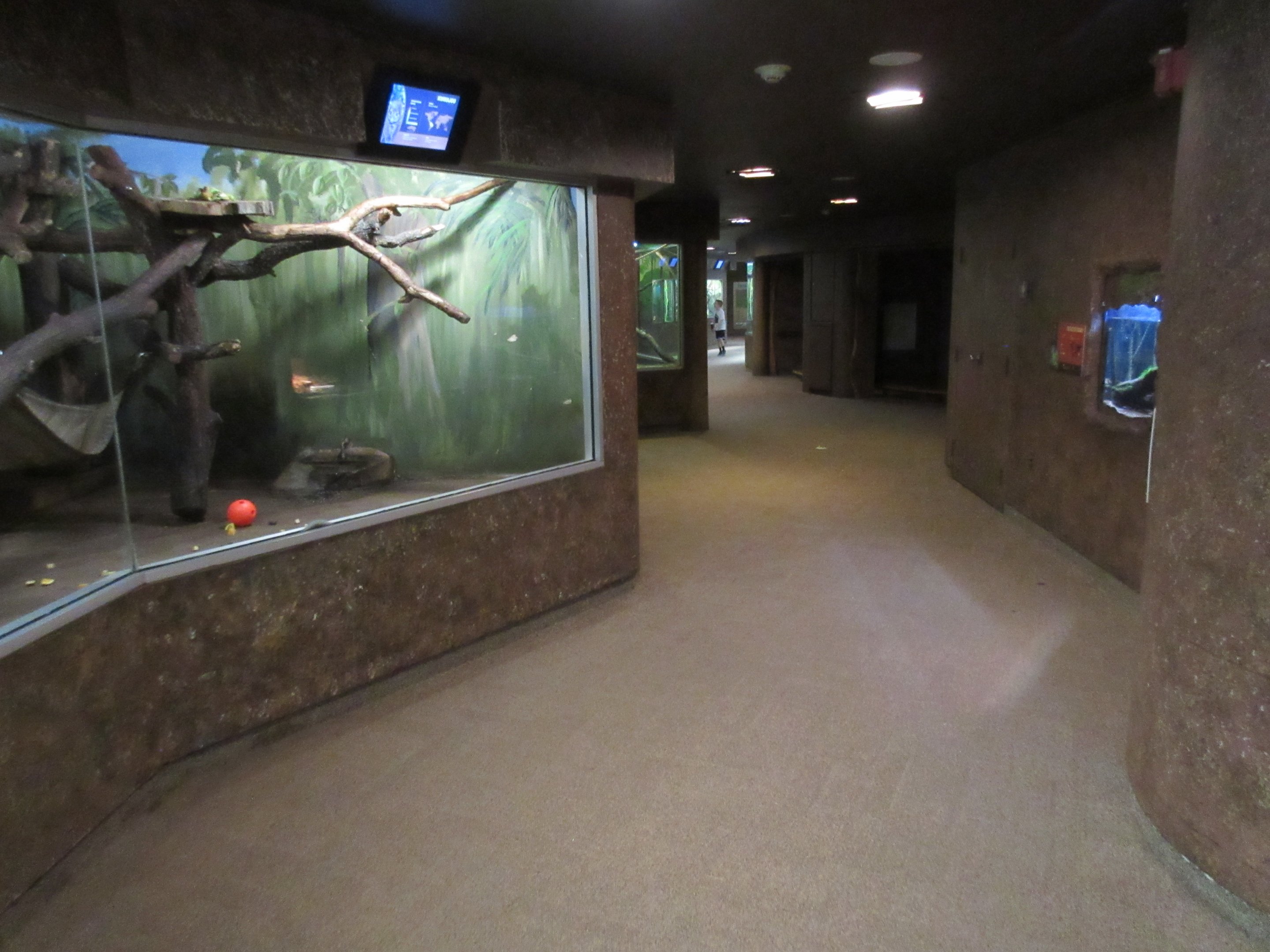 Natural Treasures Building