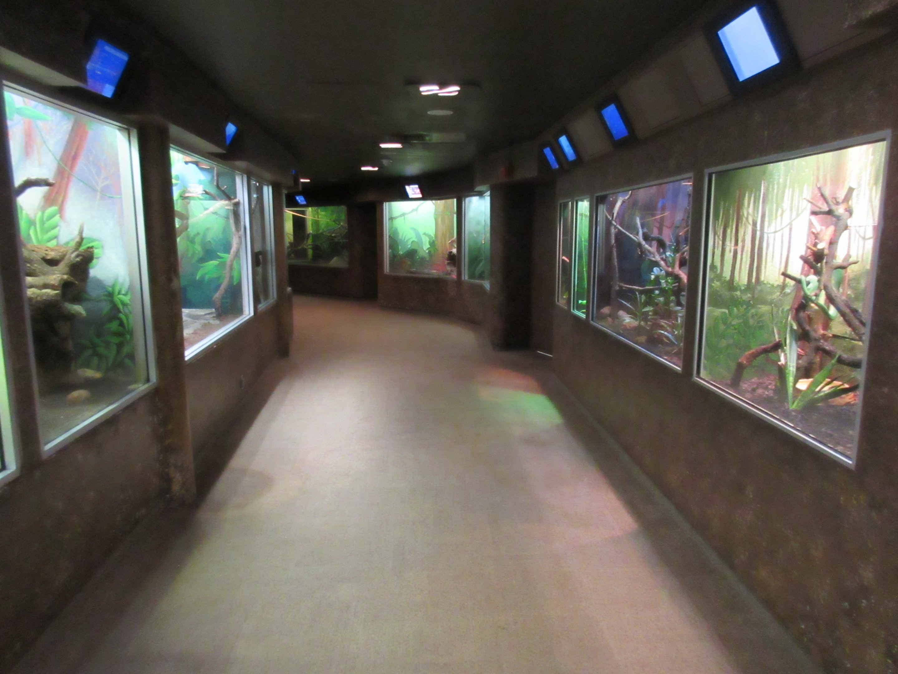 Natural Treasures Building