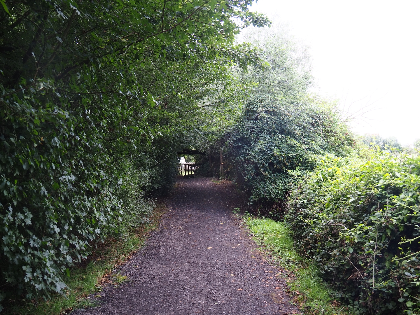 Naturalistic pathway