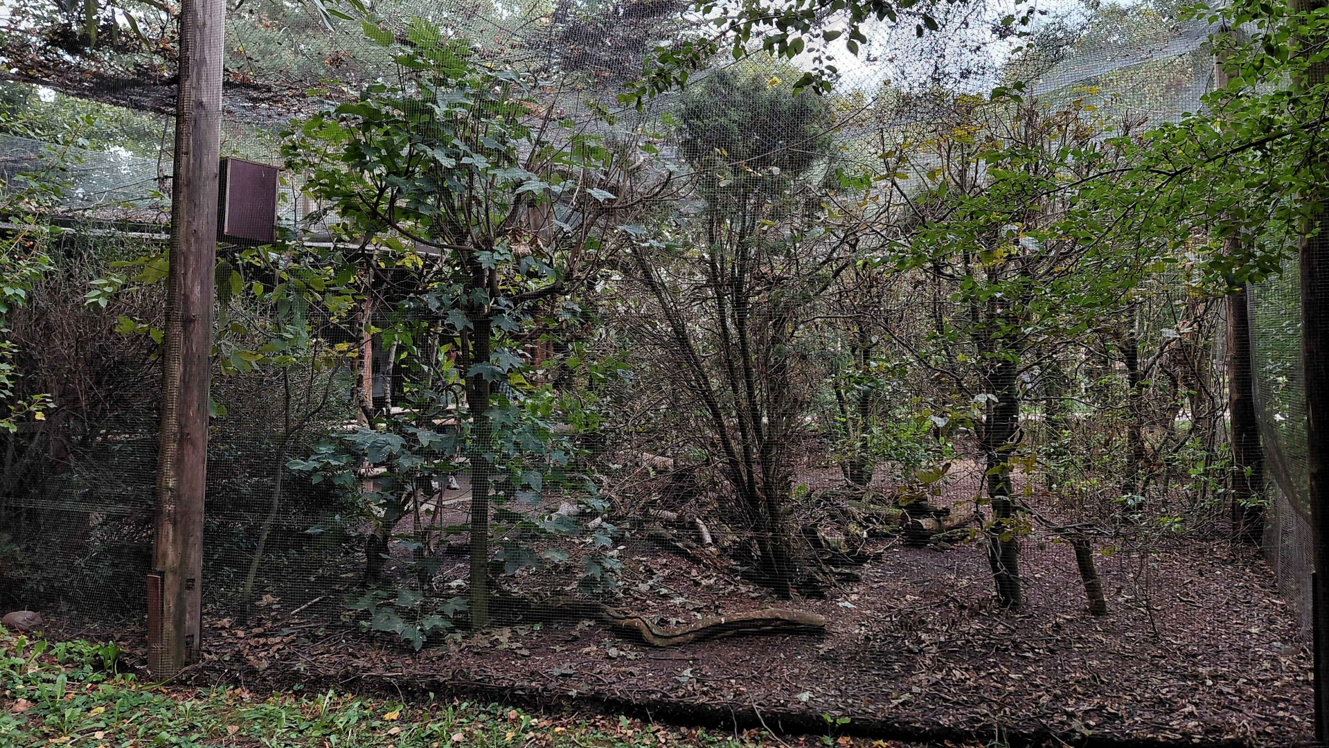 Nature around us - aviary