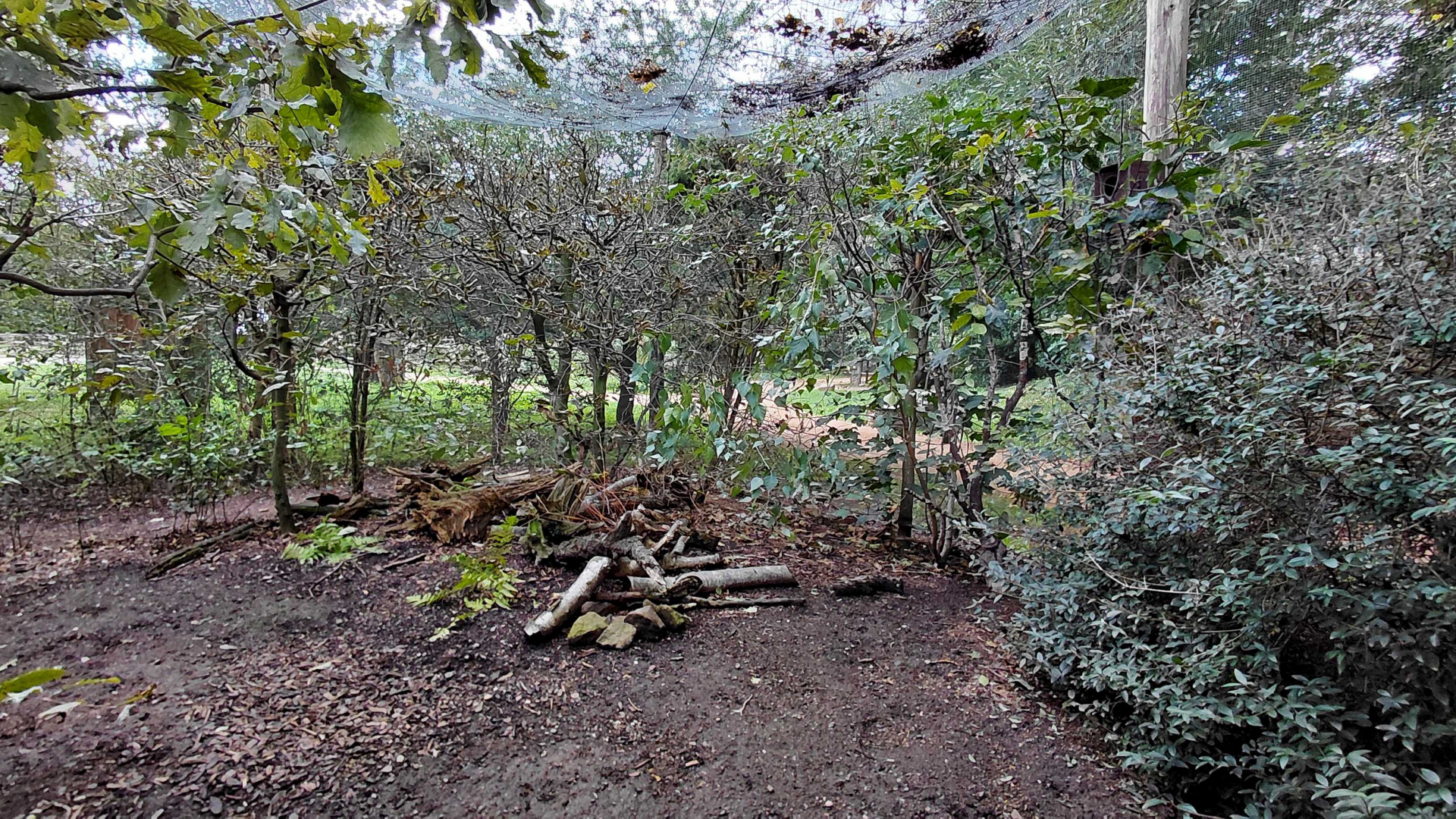 Nature around us - aviary