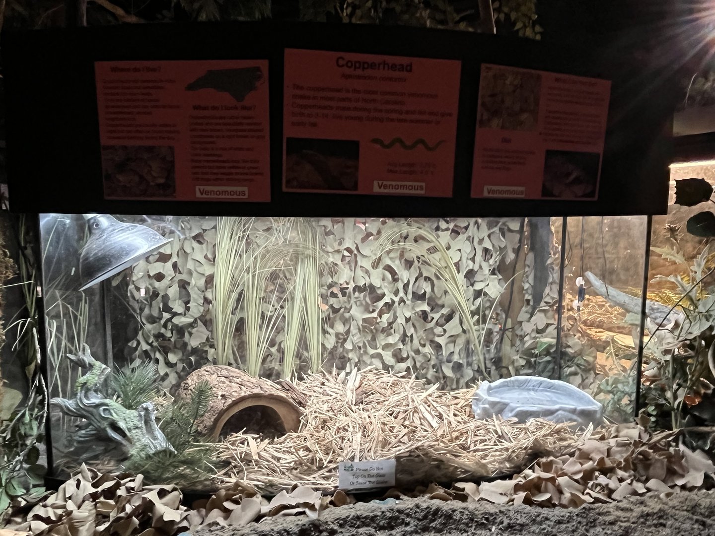 Nature Center-Copperhead Exhibit