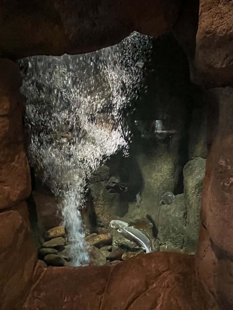 Nature Center-Game Fish Aquarium