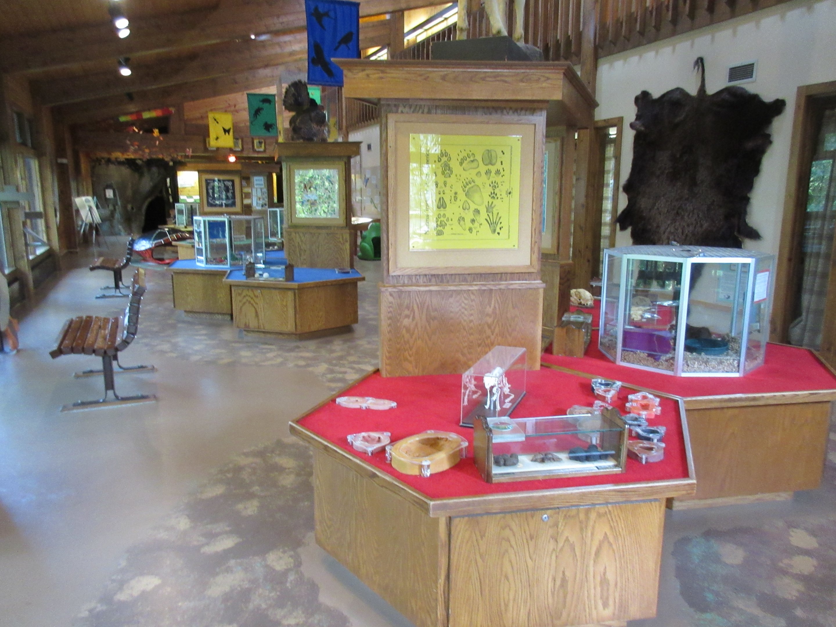 Nature Center - Main Room