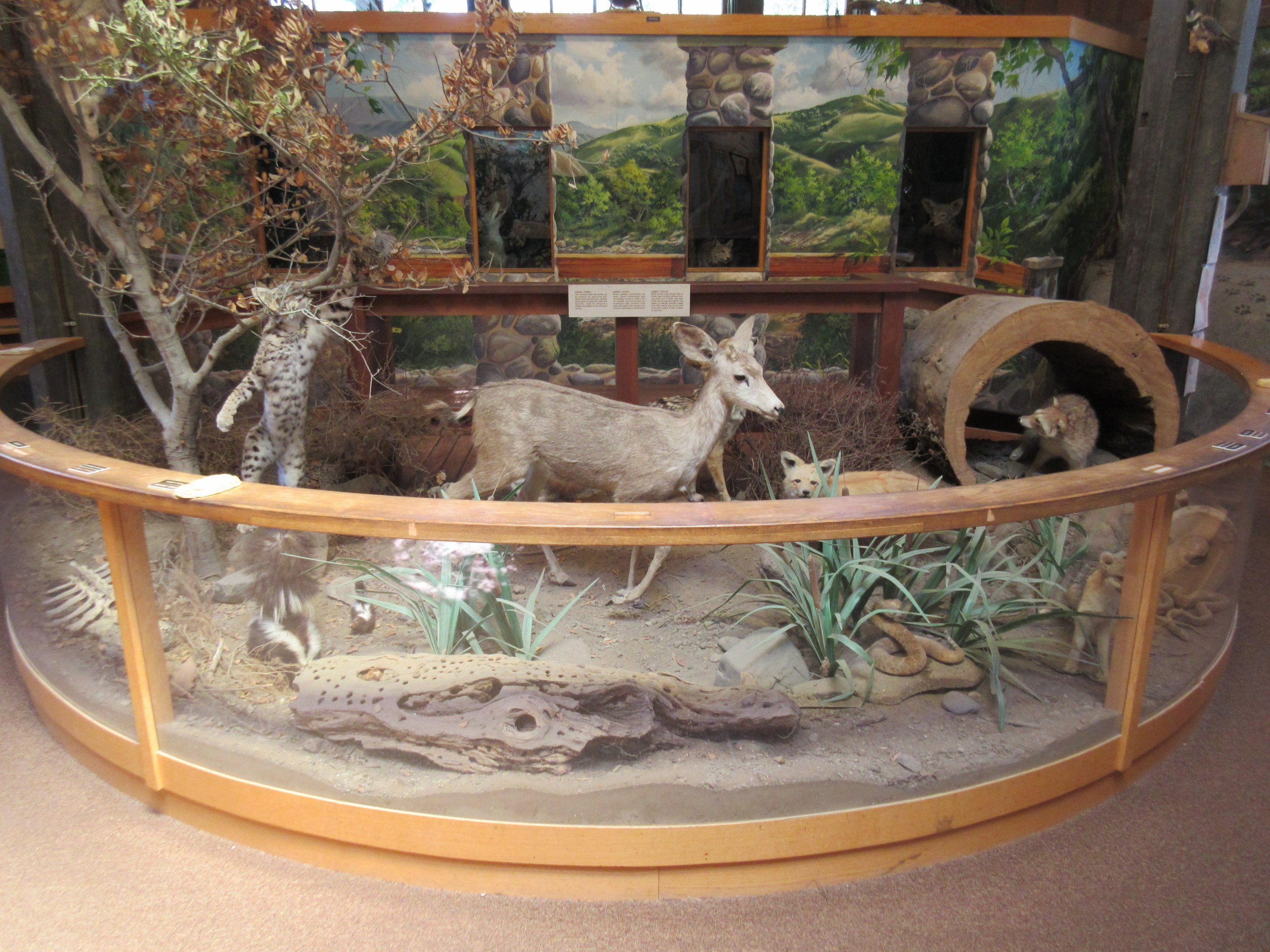 Nature Center (not on zoo grounds)