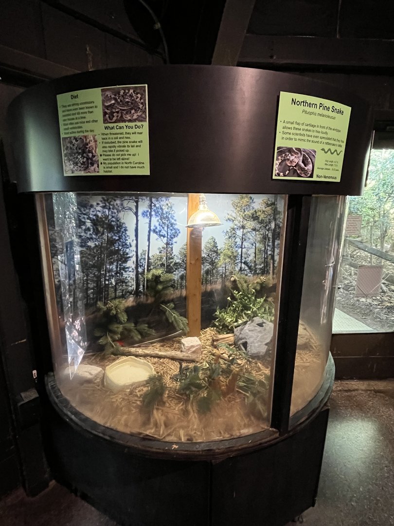 Nature Center-Pine Snake Exhibit