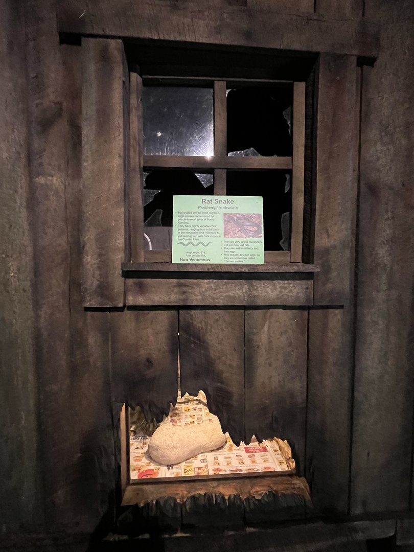 Nature Center-Rat Snake Exhibit