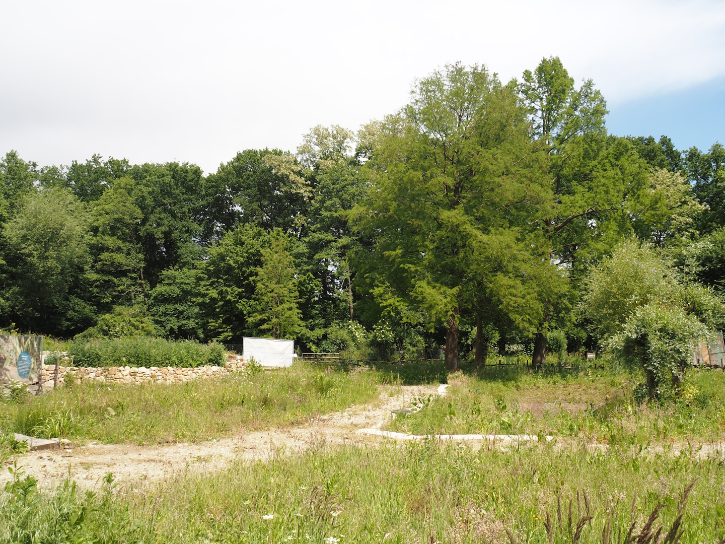 Nature exploration garden with outdoor native herp terrariums under construction, 2025-05-22
