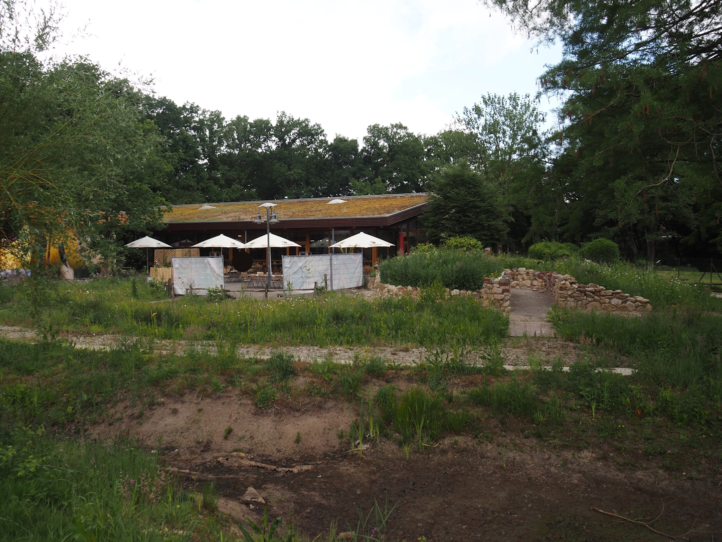 Nature exploration garden with outdoor native herp terrariums under construction, ZooBistro restaurant in the back, 2025-05-22