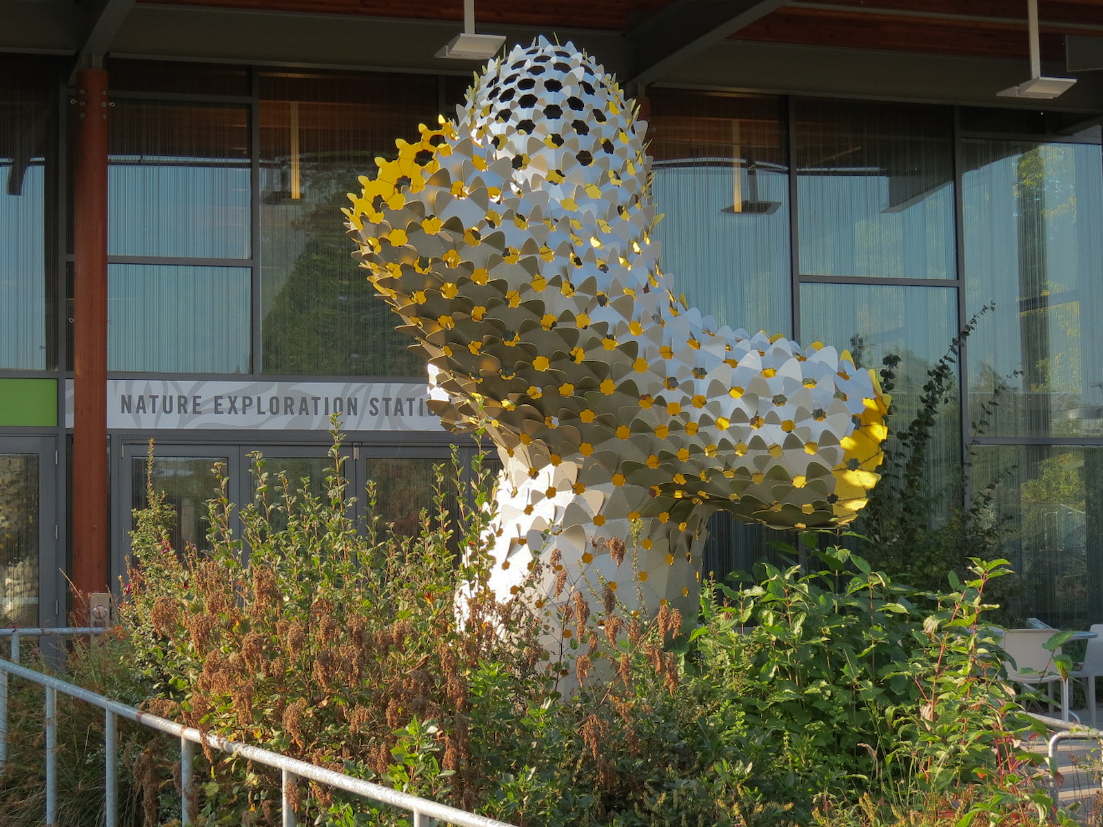 Nature Exploration Station