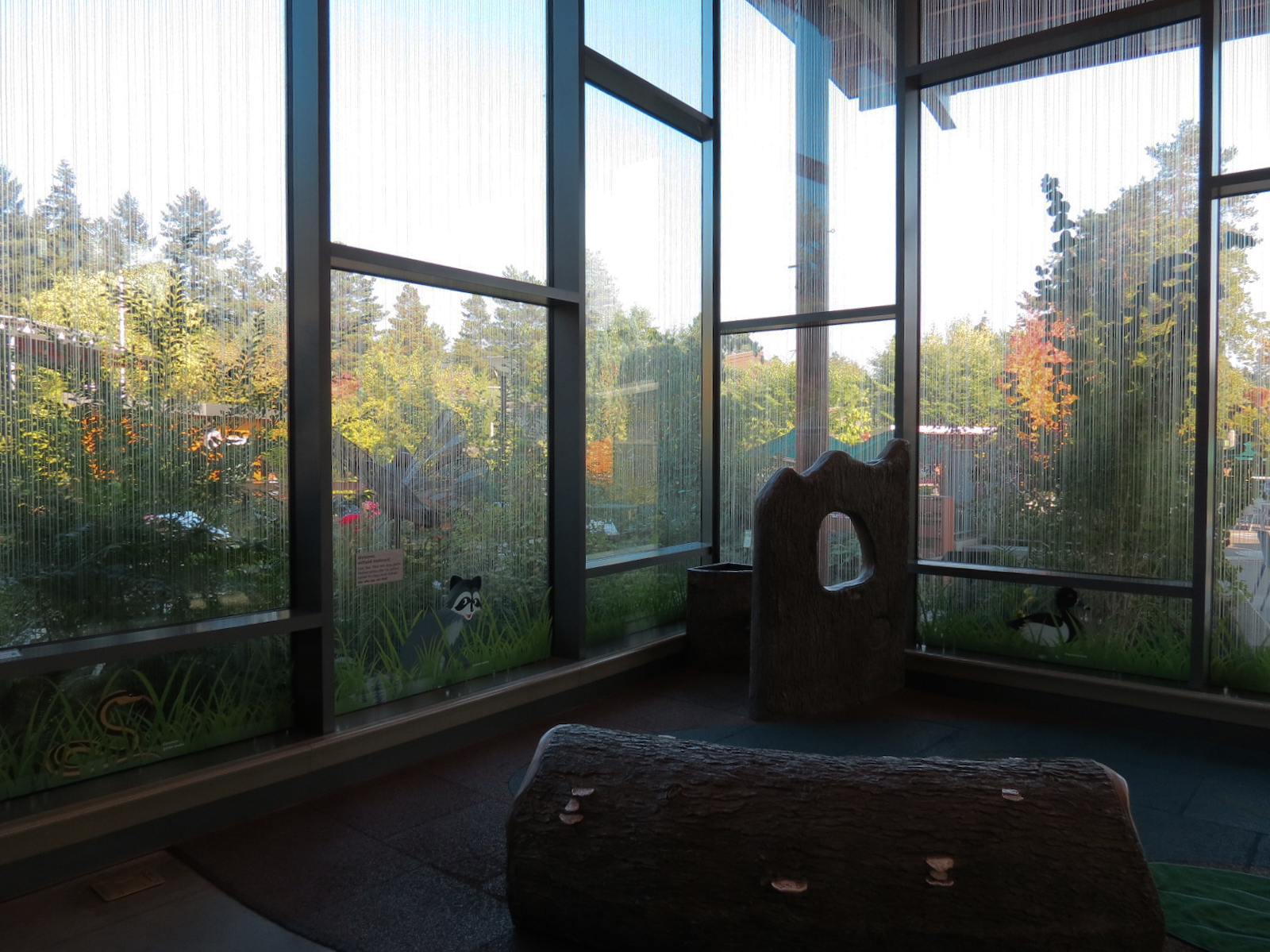 Nature Exploration Station