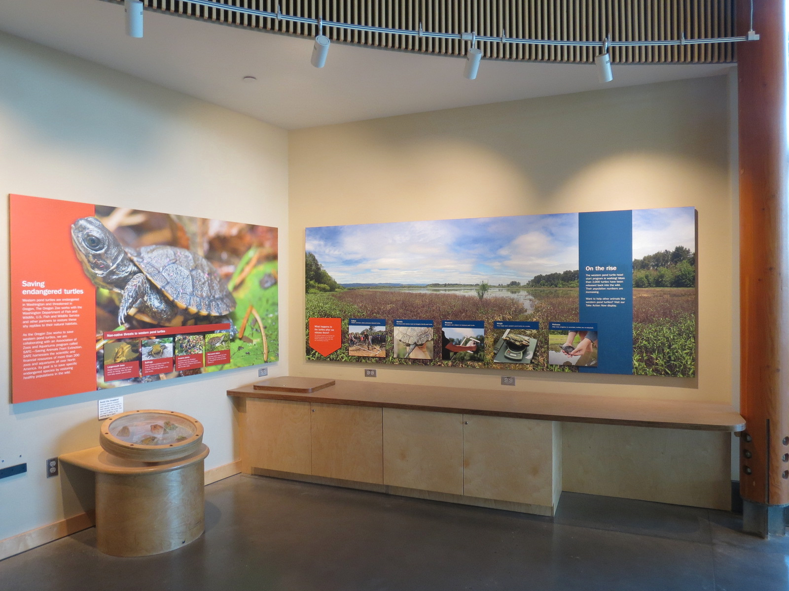 Nature Exploration Station