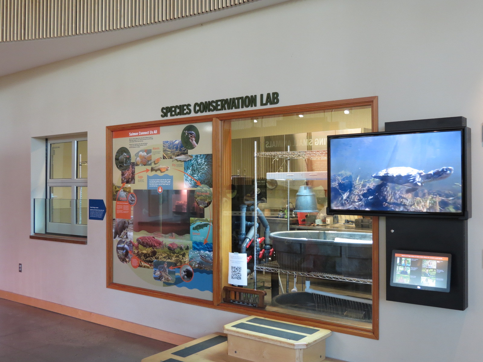 Nature Exploration Station