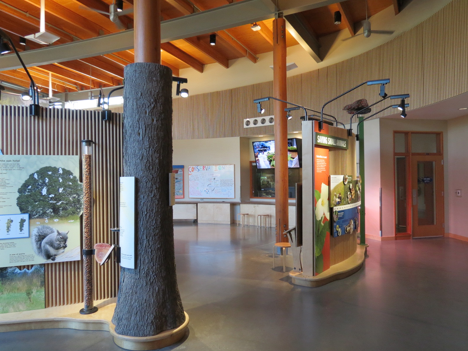 Nature Exploration Station