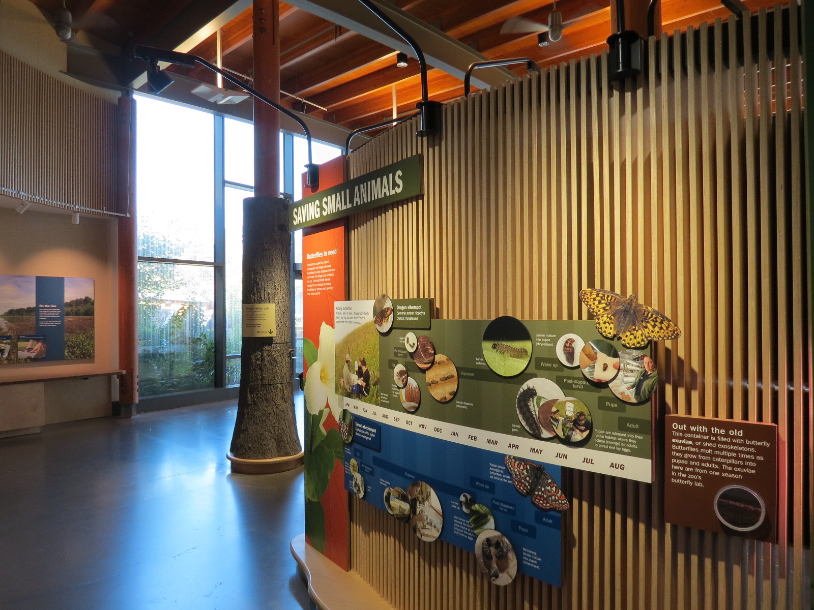 Nature Exploration Station