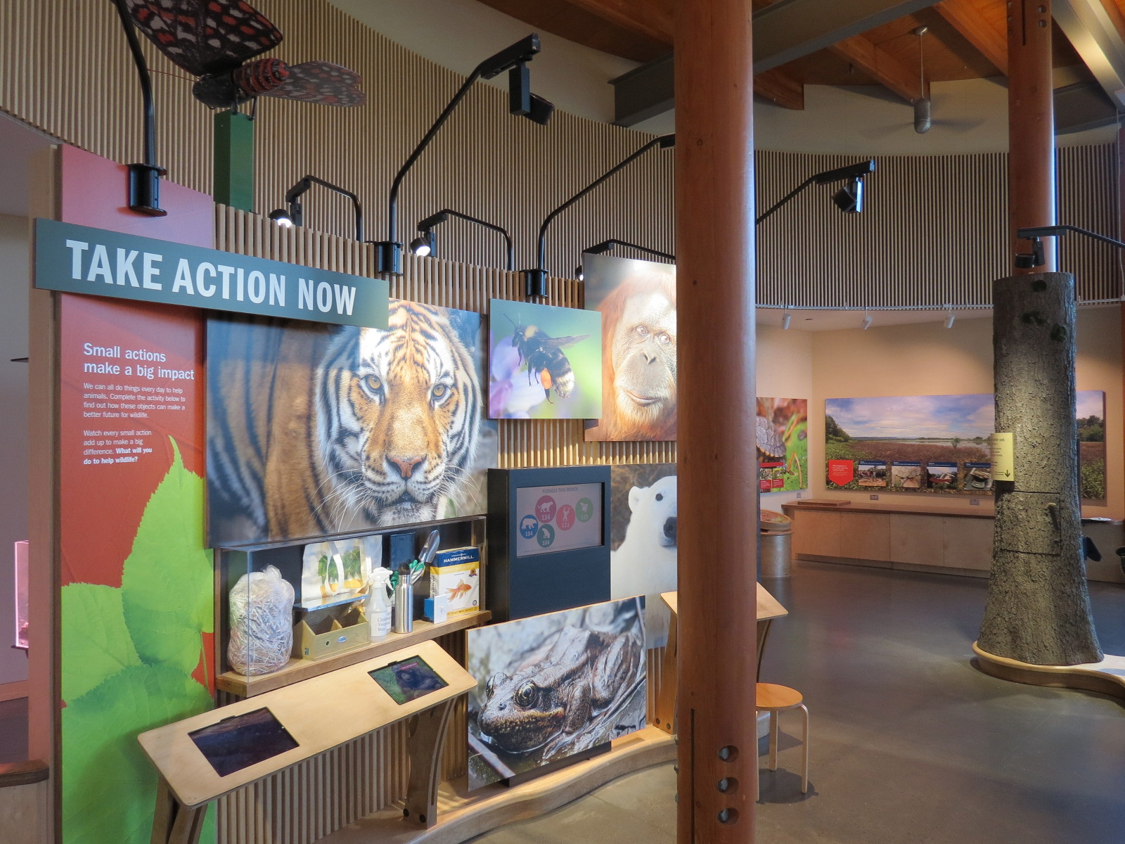 Nature Exploration Station