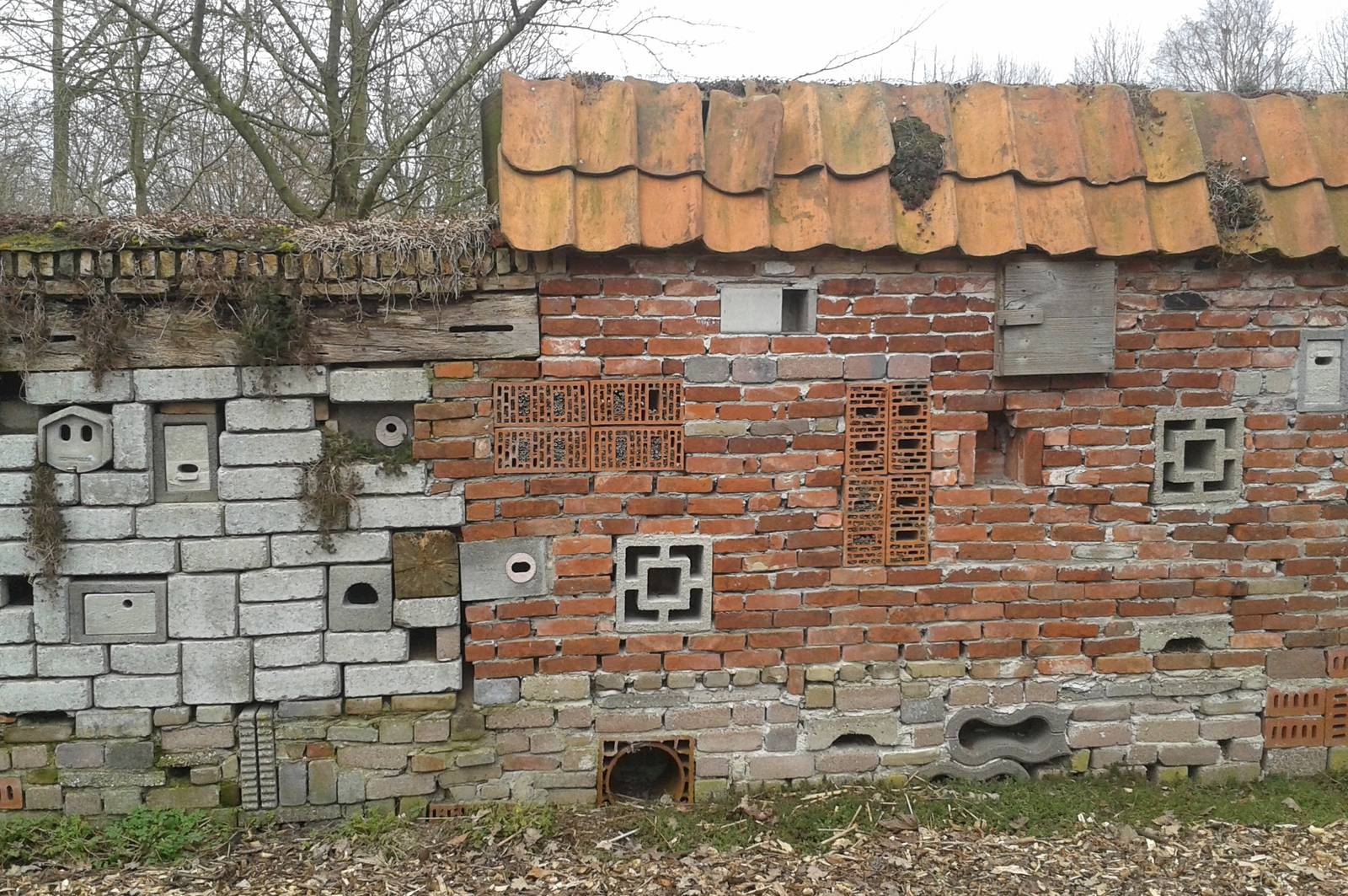 nature-friendly wall