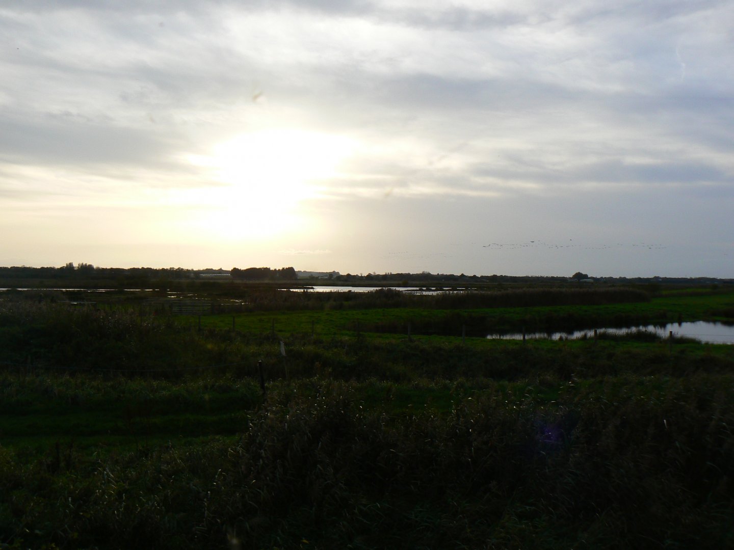 Nature Reserve at Dusk - 14 October 2017