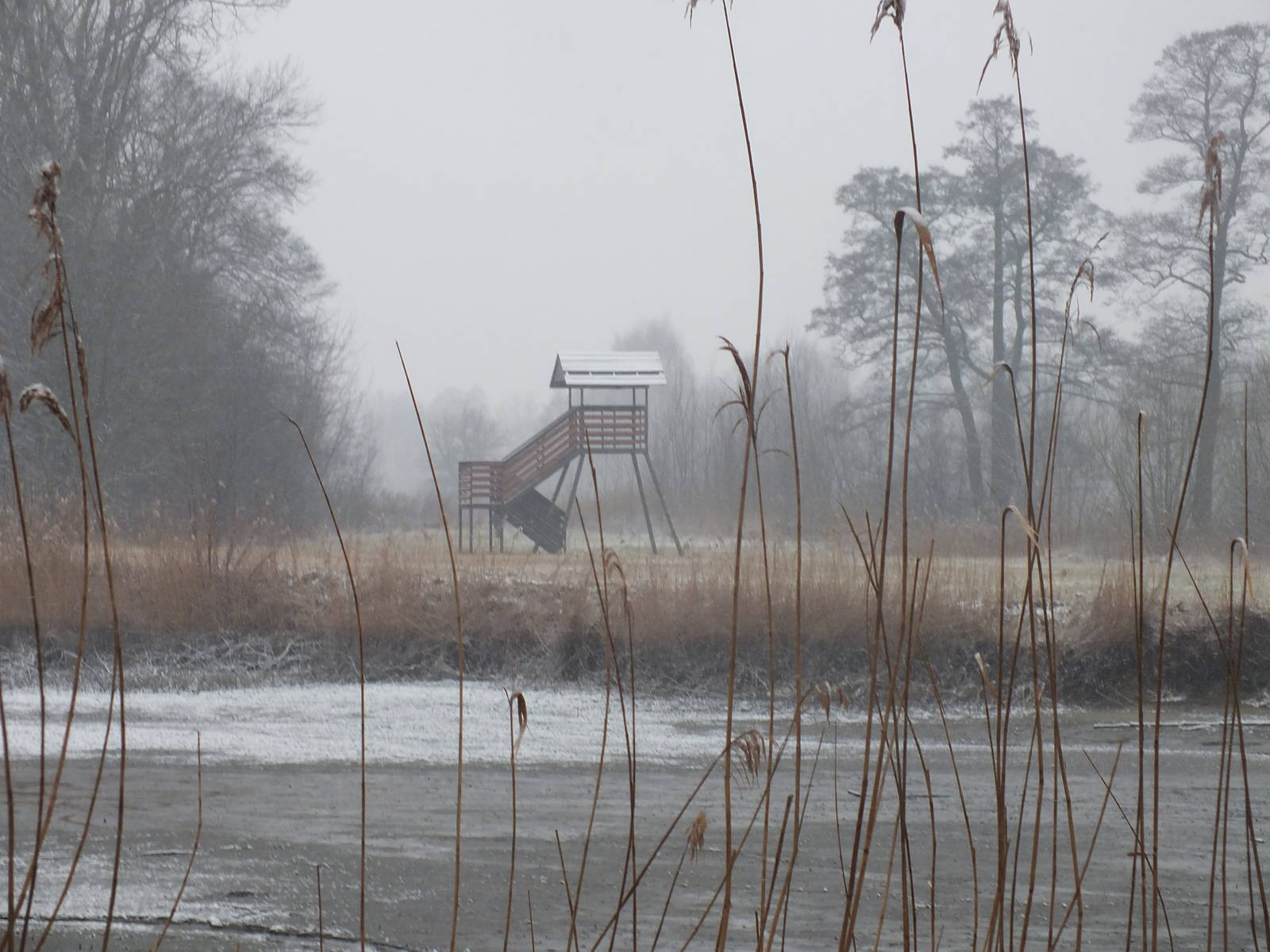 Nature Reserve in the Snow