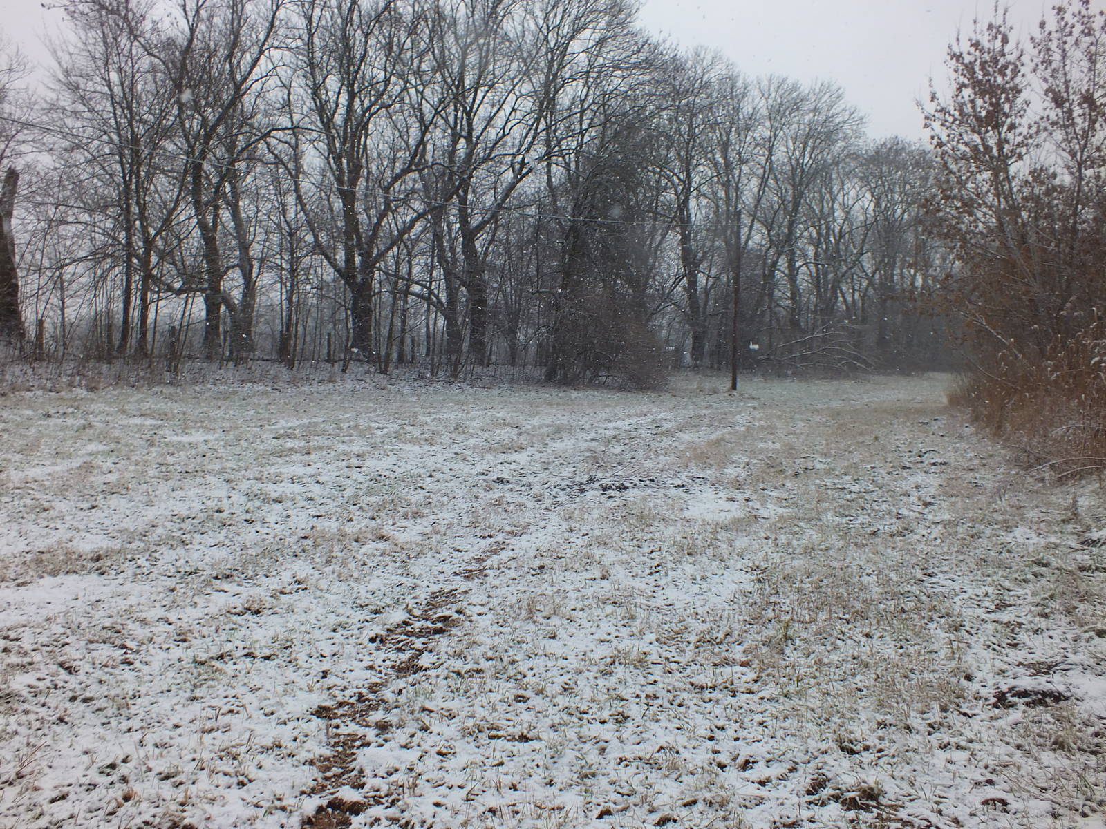Nature Reserve in the Snow