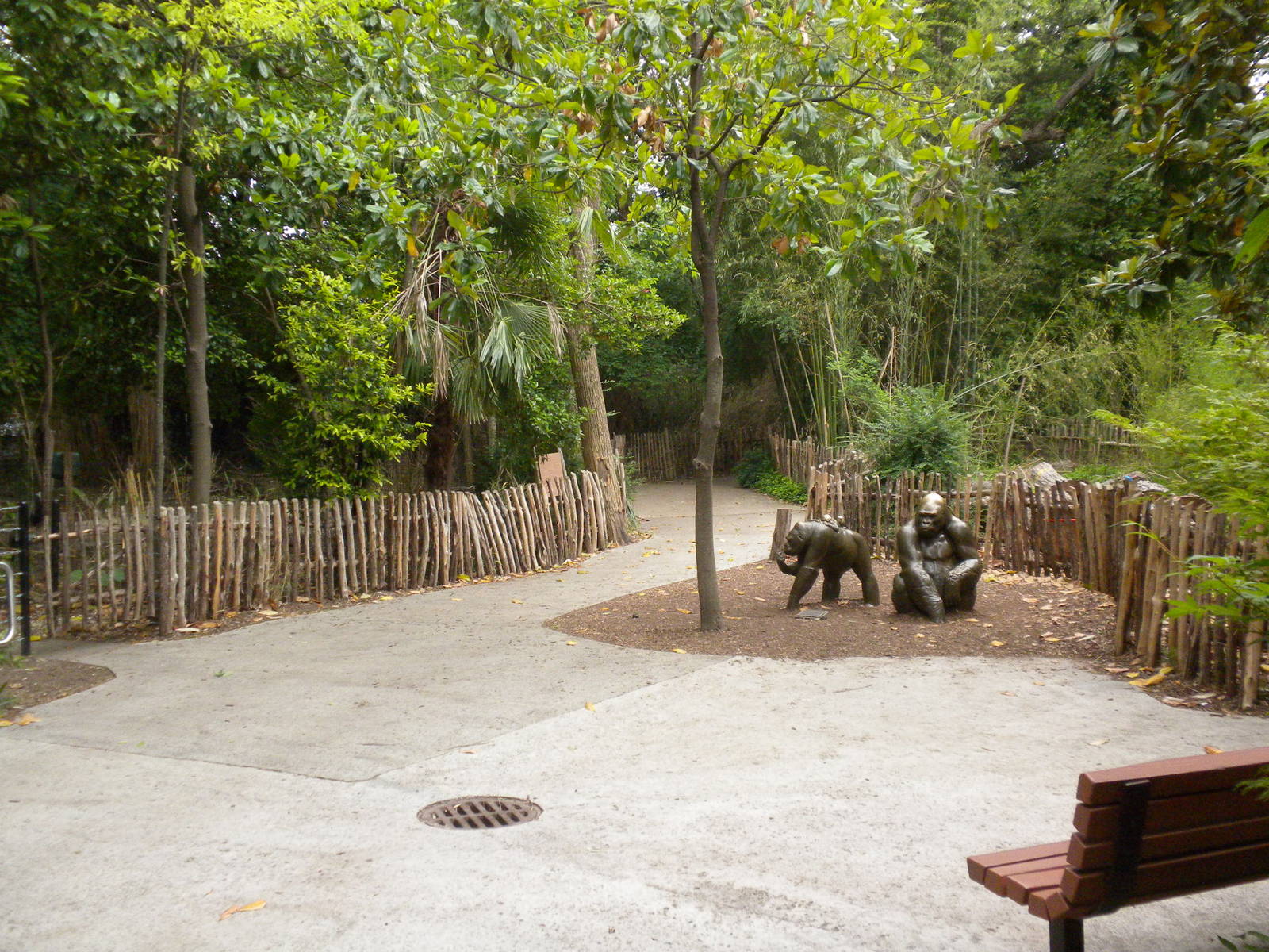 Nature Trail Gorilla Statues