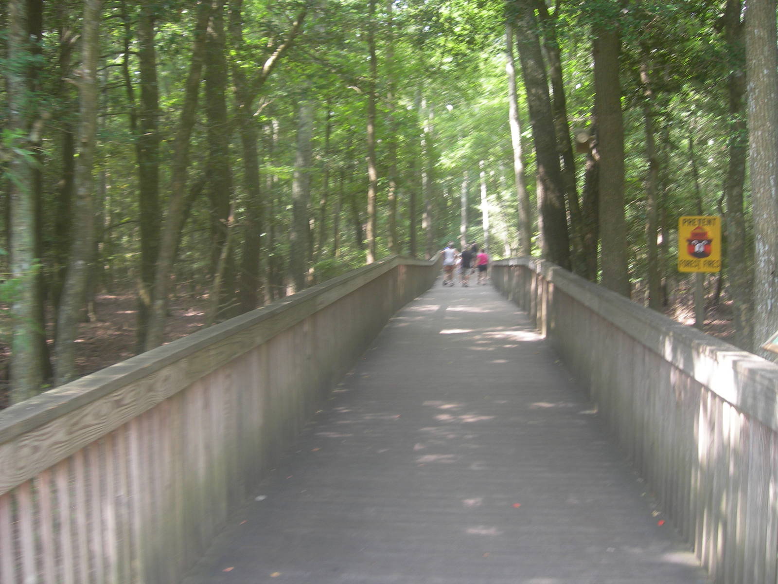 Nature Trail in zoo