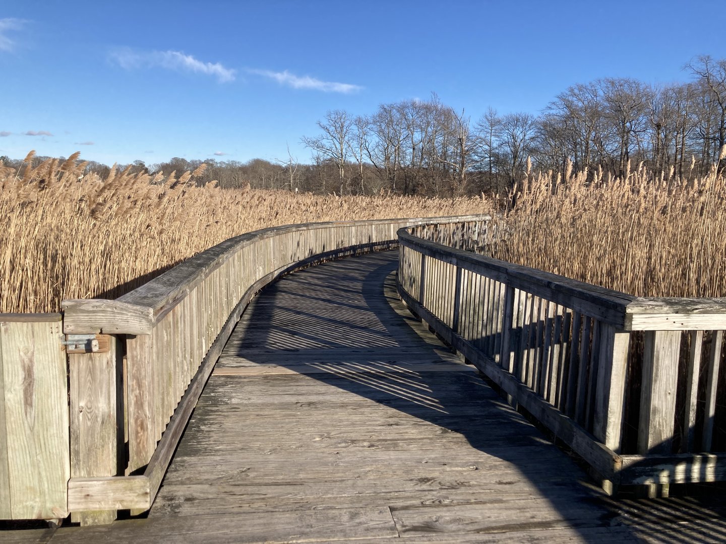 Nature Trail (leads to Ocean)