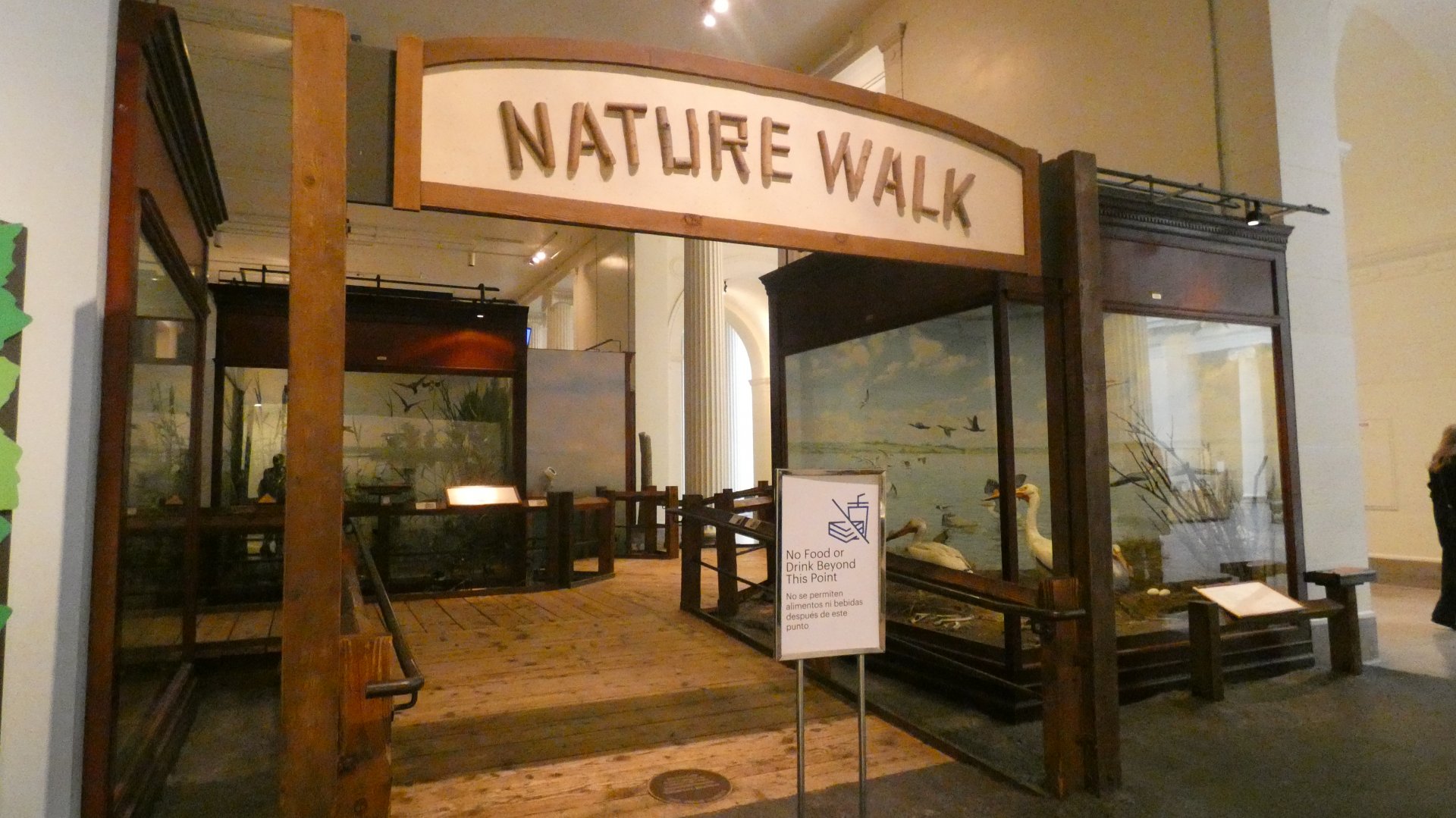 Nature Walk - Feb. 2022