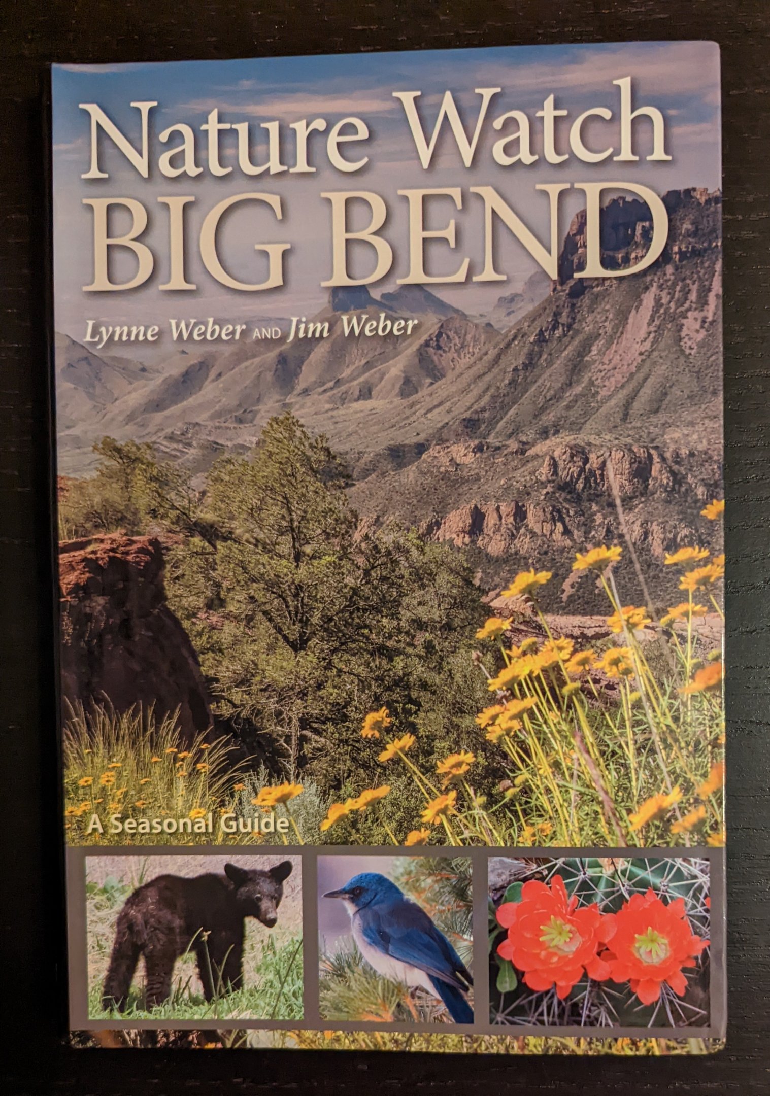 Nature Watch Big Bend: A Seasonal Guide