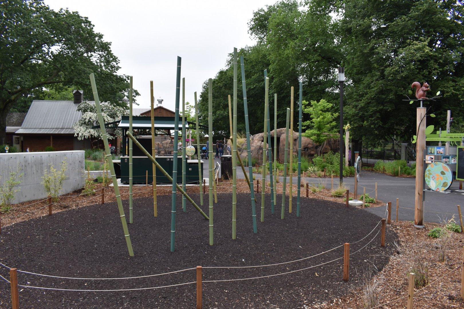 Nature's Neighborhoods - Bamboo Climber