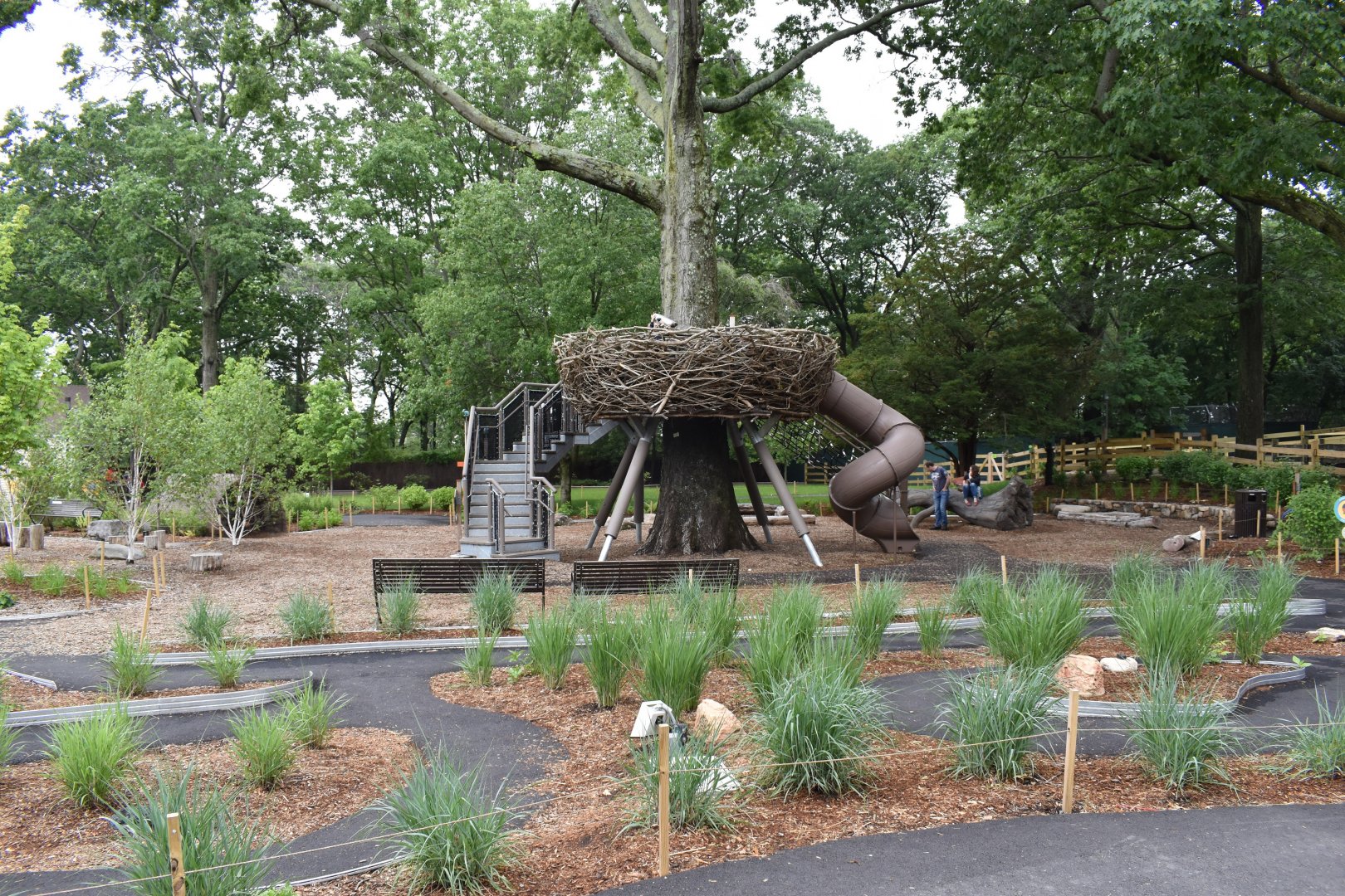 Nature's Neighborhoods - Eagles Nest play area