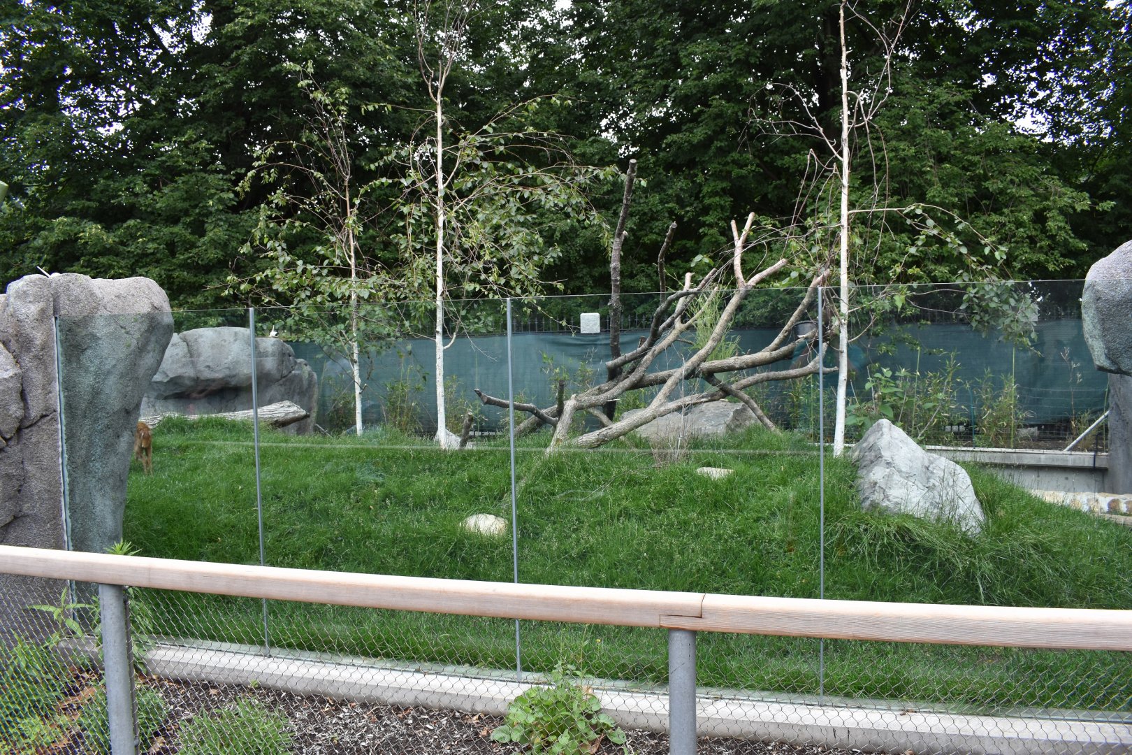 Nature's Neighborhoods - Red Panda/Reeves' Muntjac Exhibit