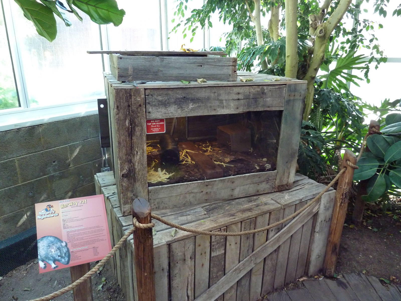 Nature's Nightmares - Temporary 2010 Exhibit