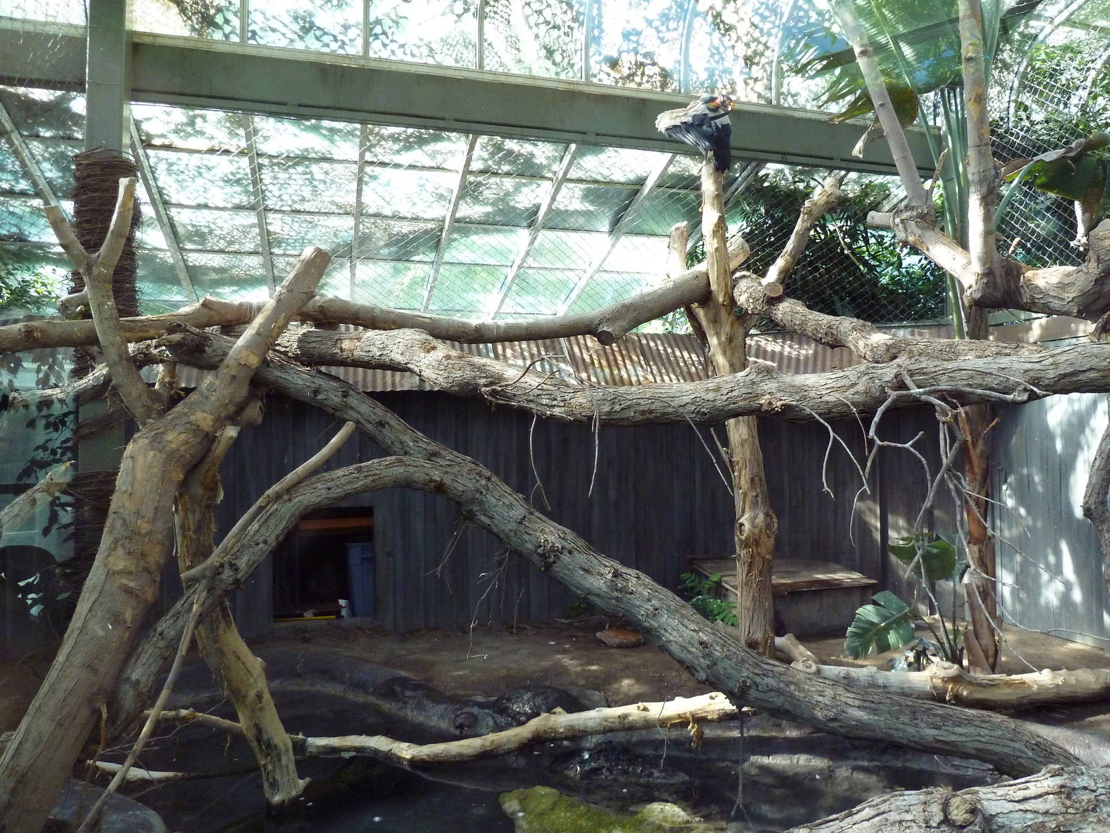 Nature's Nightmares - Temporary 2010 Exhibit