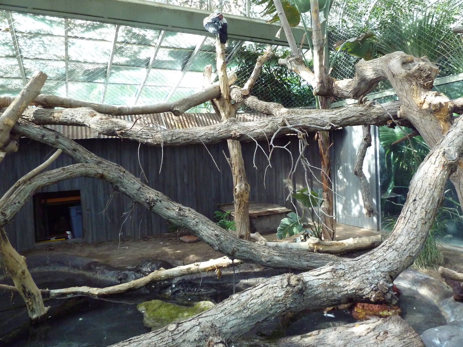 Nature's Nightmares - Temporary 2010 Exhibit