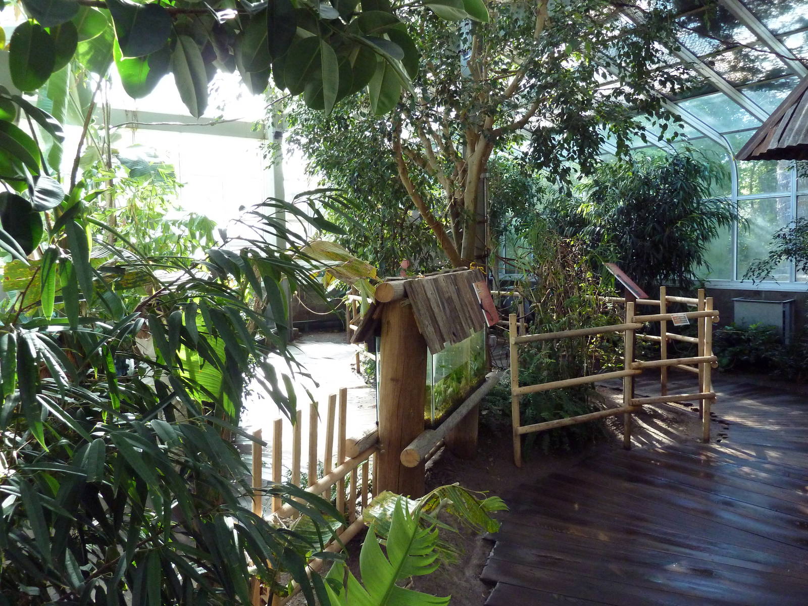 Nature's Nightmares - Temporary 2010 Exhibit