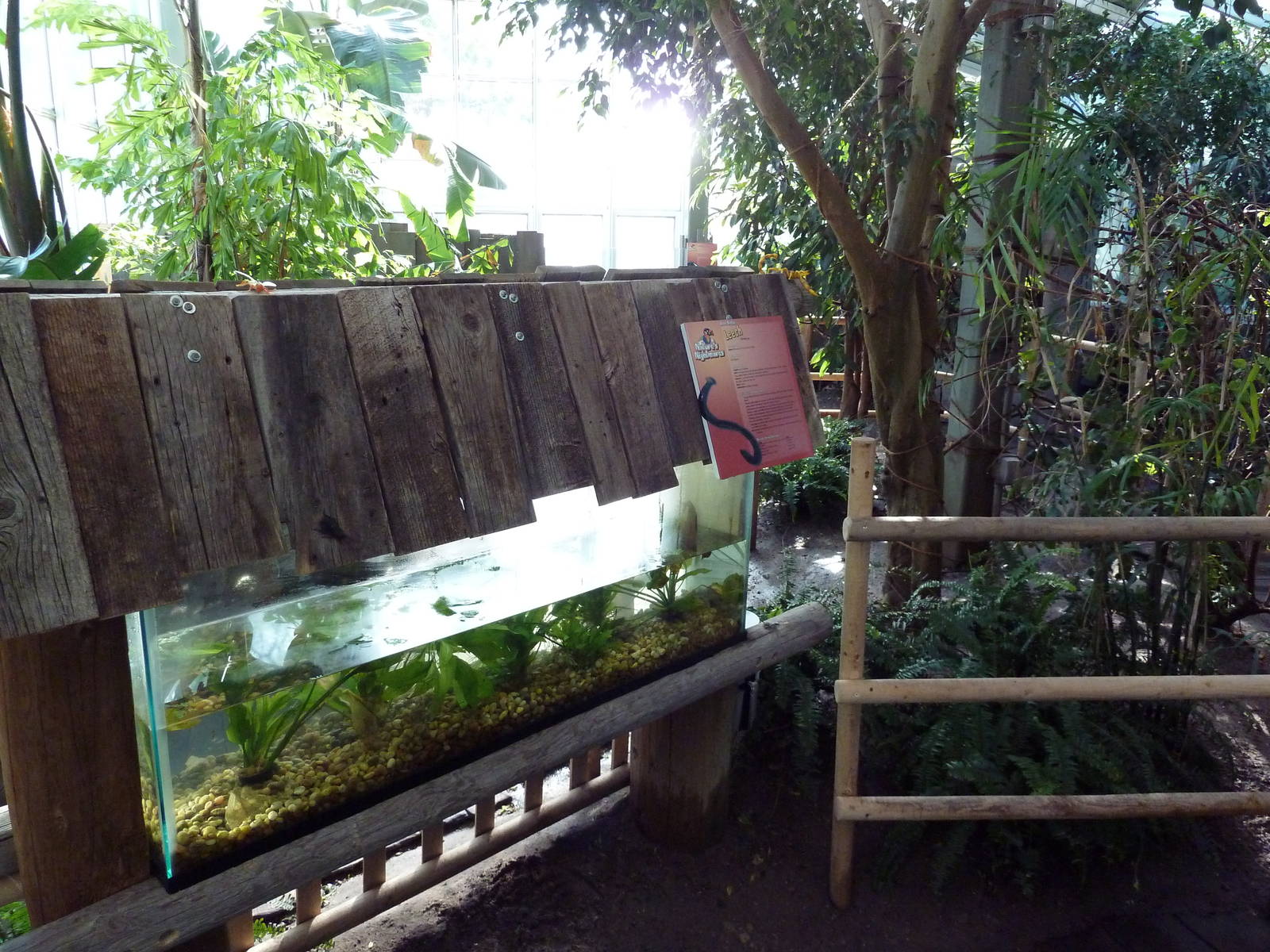 Nature's Nightmares - Temporary 2010 Exhibit