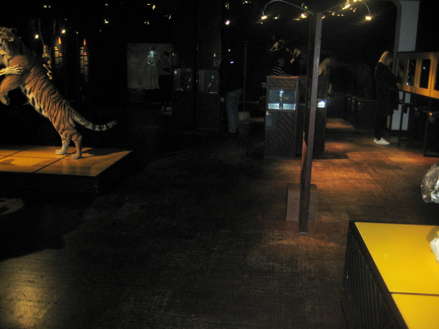 Naturhistorisk Museum Aarhus - AnimaliA