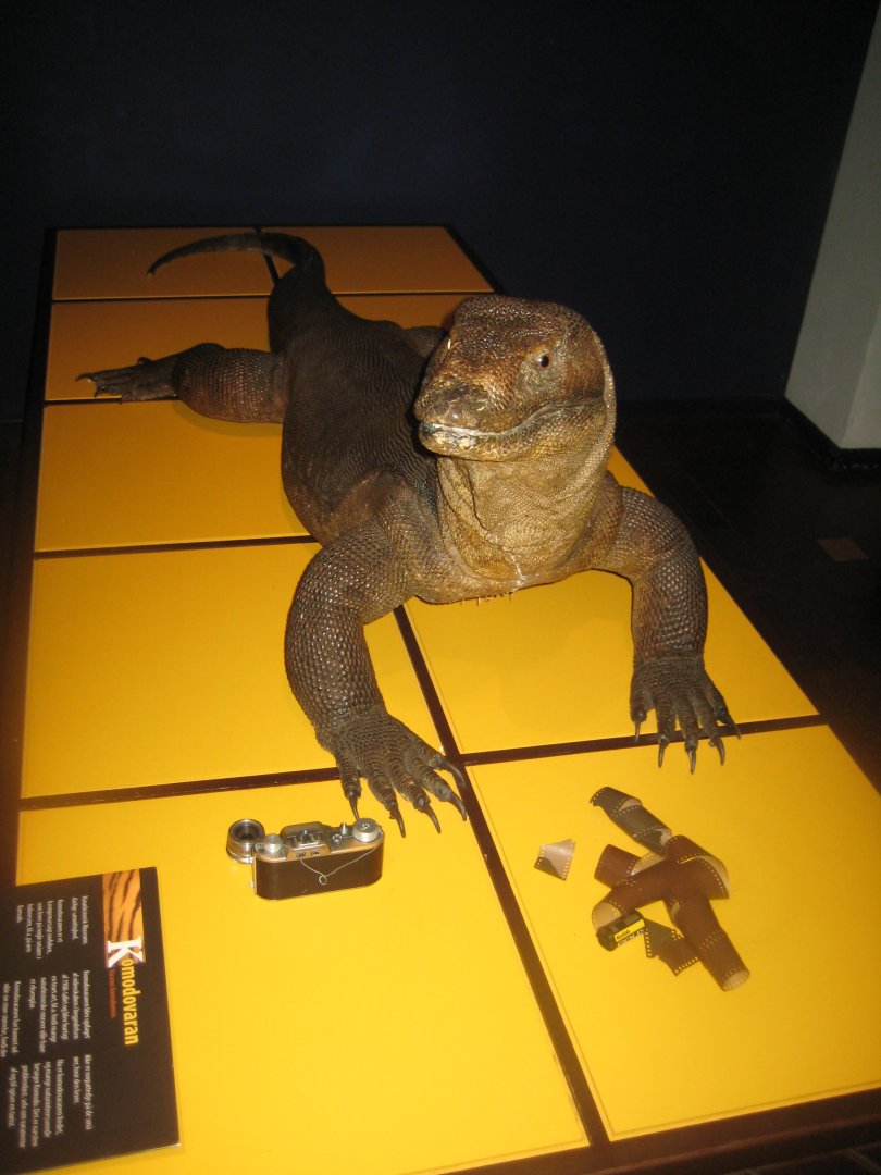 Naturhistorisk Museum Aarhus - AnimaliA