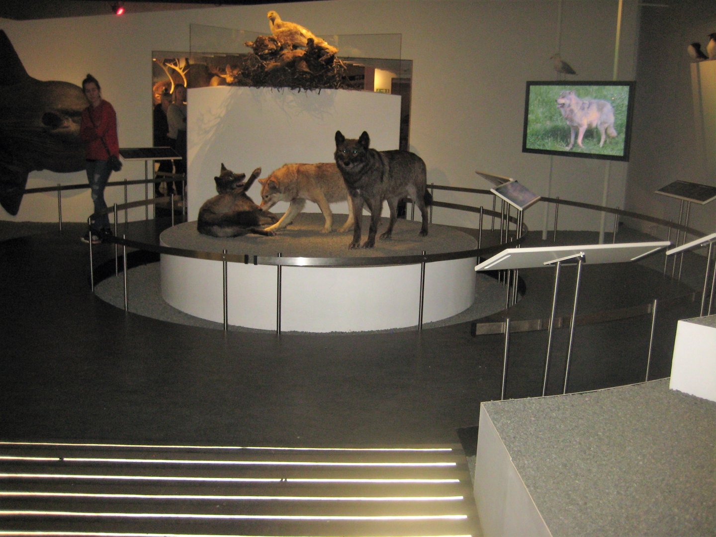 Naturhistorisk Museum Aarhus - "Den globale baghave"