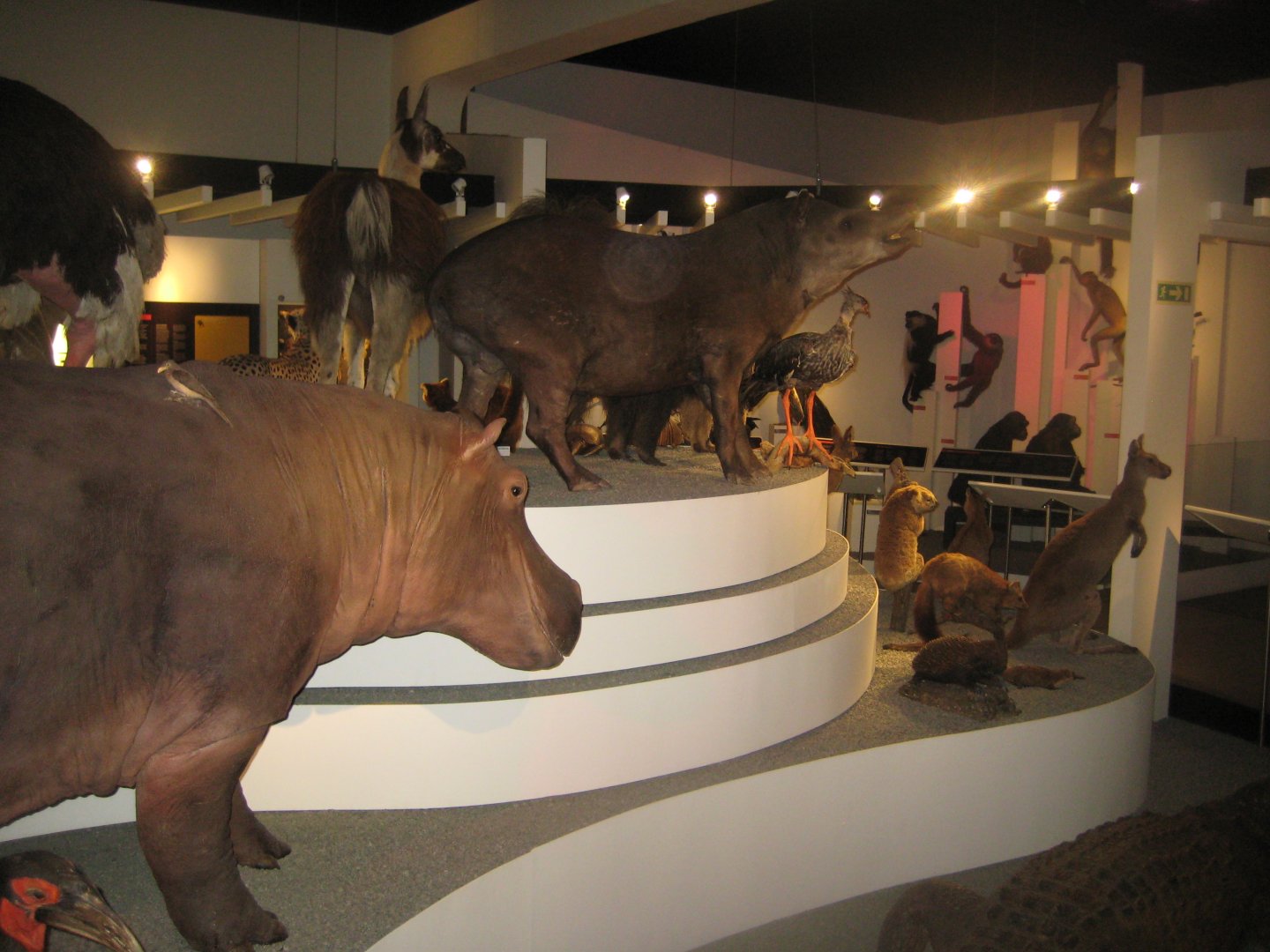 Naturhistorisk Museum Aarhus - "Den globale baghave"