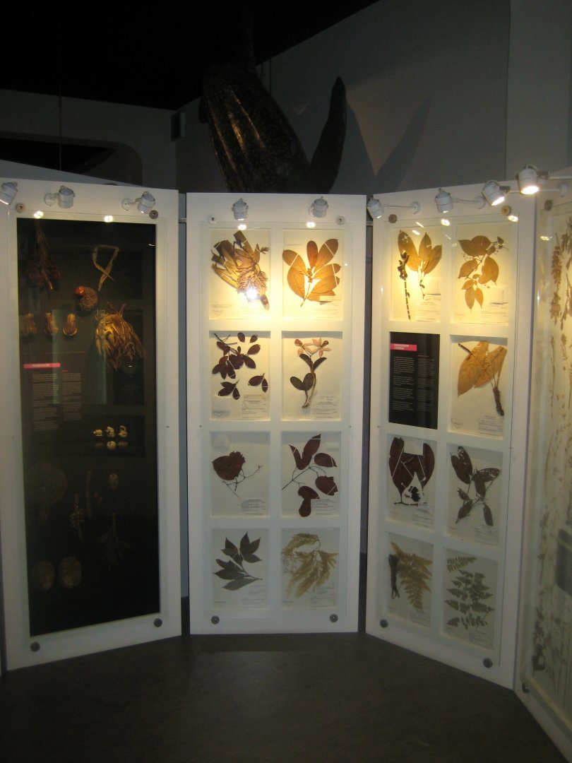 Naturhistorisk Museum Aarhus - "Den globale baghave"