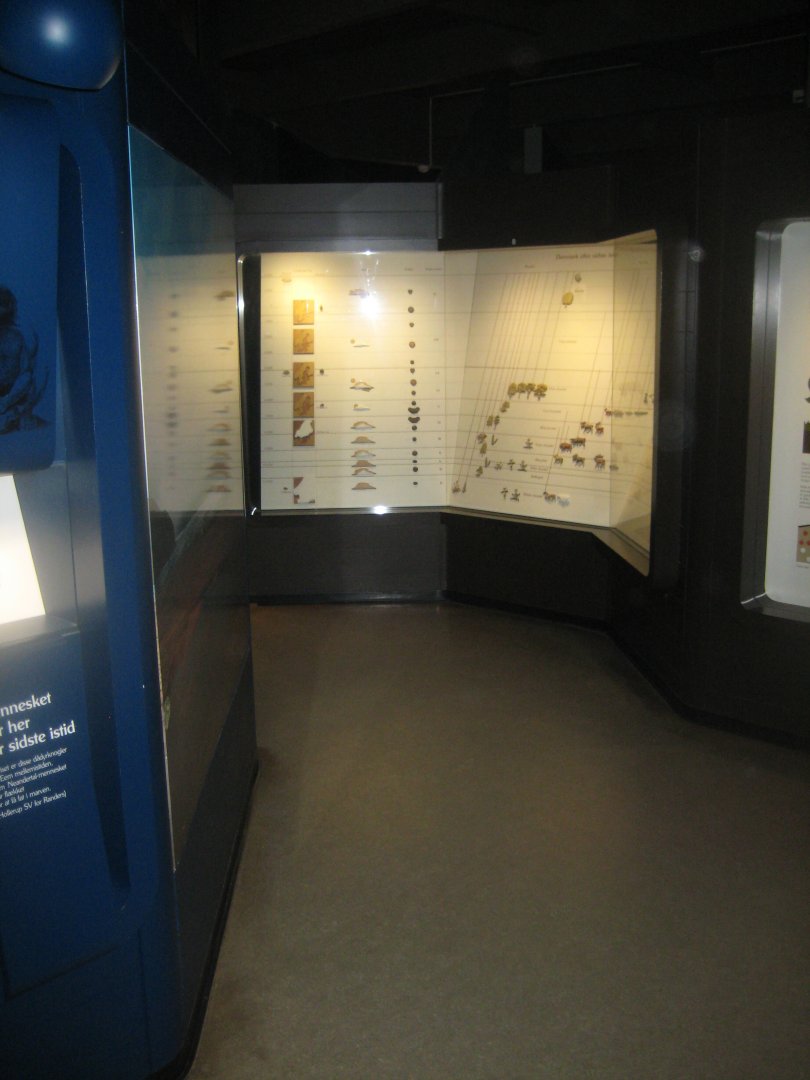 Naturhistorisk Museum Aarhus - Denmark hall