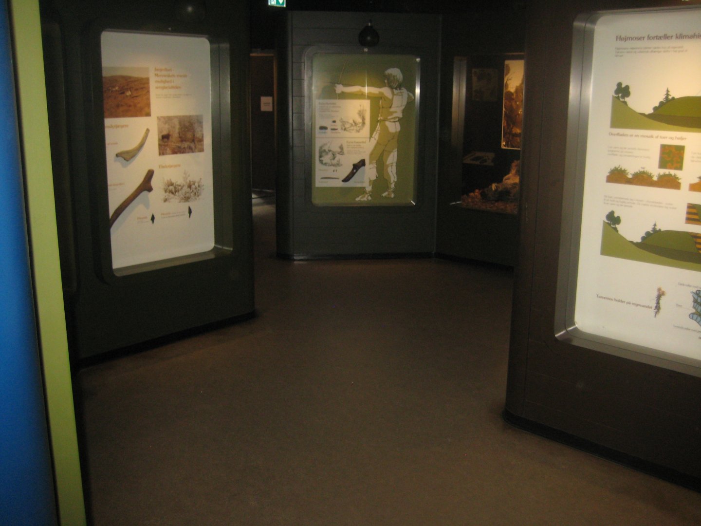 Naturhistorisk Museum Aarhus - Denmark hall