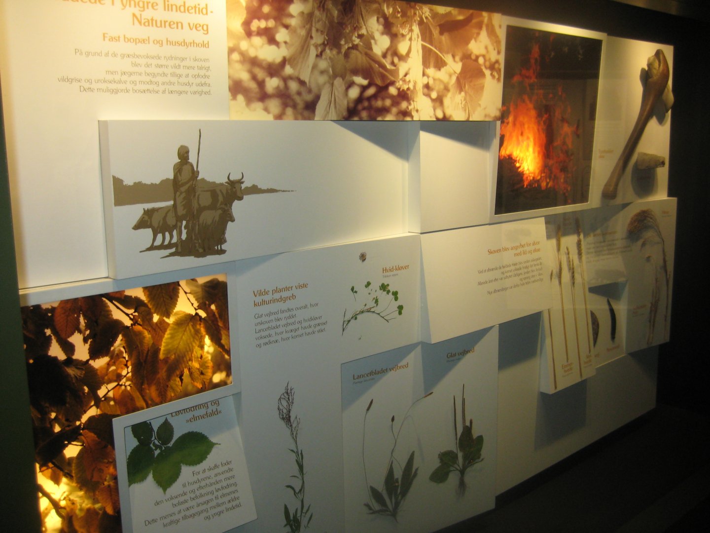 Naturhistorisk Museum Aarhus - Denmark hall